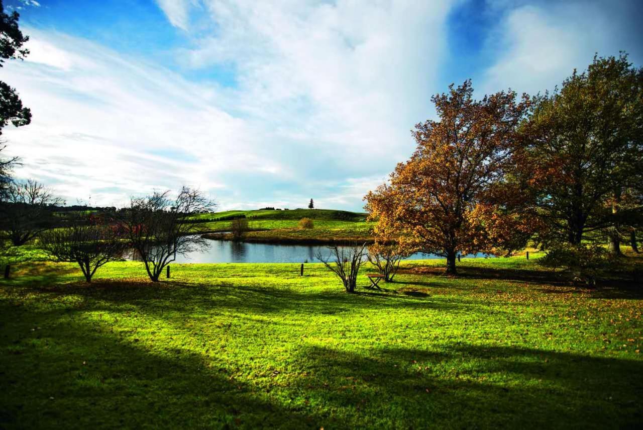 Eling Forest Winery Sutton Forest Dış mekan fotoğraf