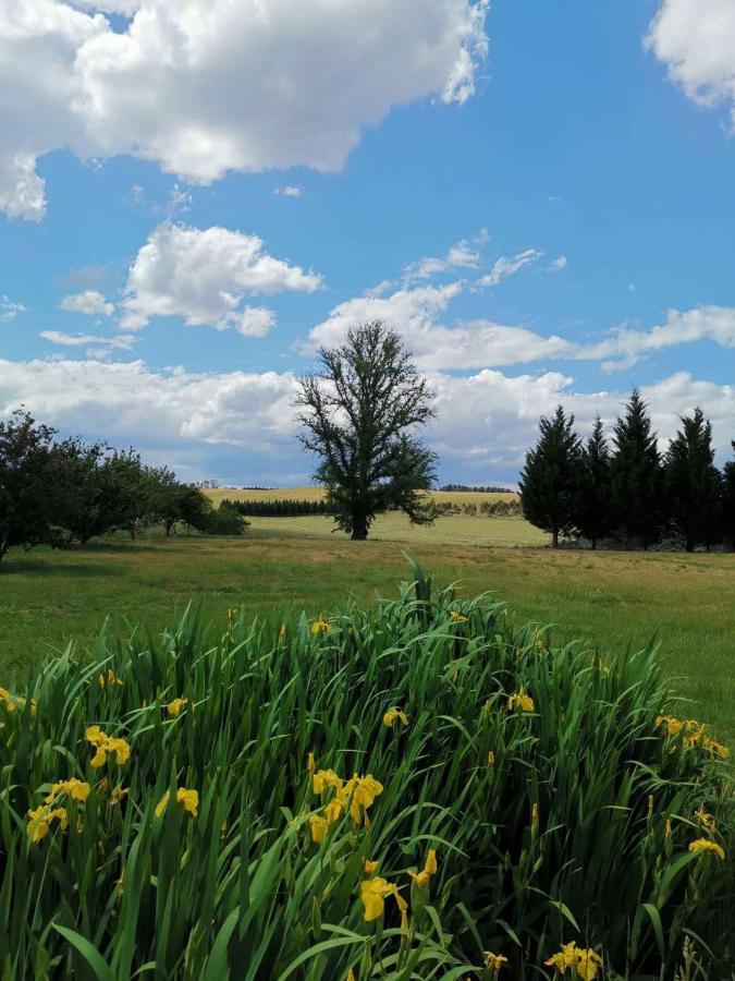 Eling Forest Winery Sutton Forest Dış mekan fotoğraf